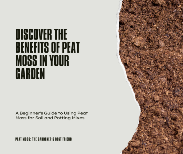 How To Use Peat Moss In Container Gardening