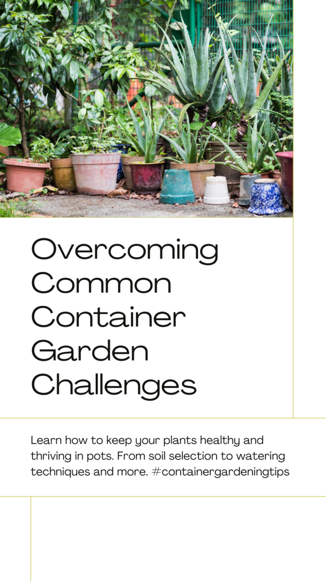 Common Container Gardening Challenges