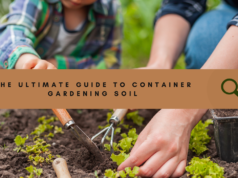 BEST SOIL FOR CONTAINER GARDENING