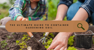 BEST SOIL FOR CONTAINER GARDENING