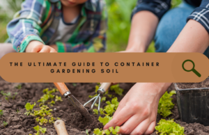 BEST SOIL FOR CONTAINER GARDENING