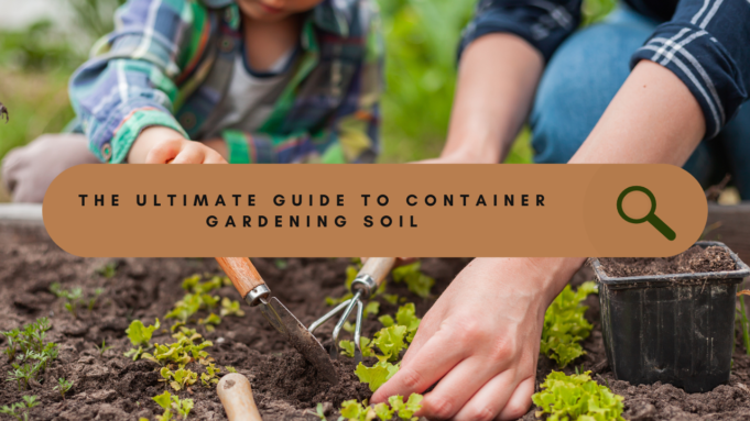 Best Soil For Container Gardening BEST SOIL FOR CONTAINER GARDENING