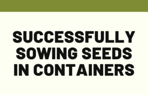 How to Sow Seeds in Containers Successfully