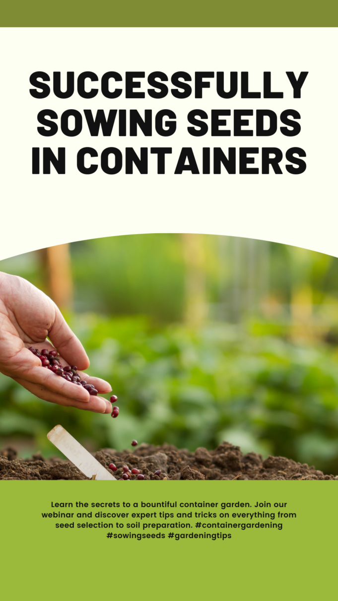 How To Sow Seeds In Containers Successfully How to Sow Seeds in Containers Successfully