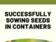 How to Sow Seeds in Containers Successfully