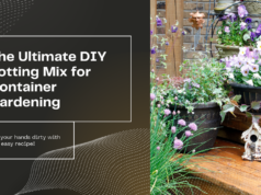 the best diy potting mix for container gardening