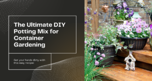 the best diy potting mix for container gardening