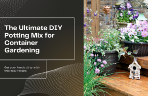 the best diy potting mix for container gardening