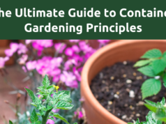 The Essential Guide to Container Gardening Principles