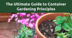 The Essential Guide to Container Gardening Principles