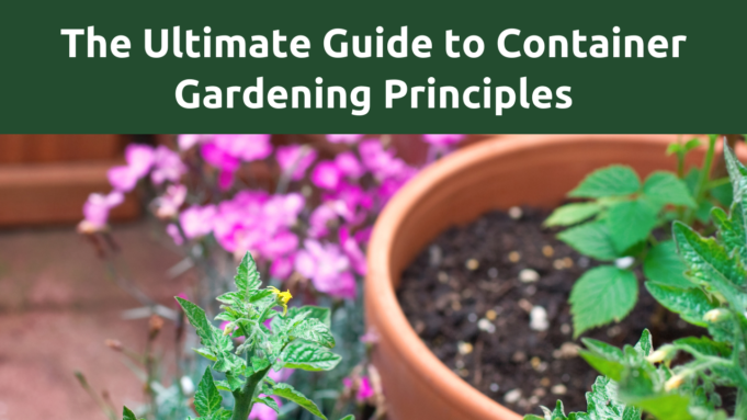 The Essential Guide To Container Gardening Principles The Essential Guide to Container Gardening Principles