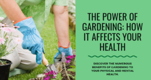 The Impact of Gardening on Health