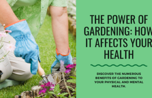 The Impact of Gardening on Health