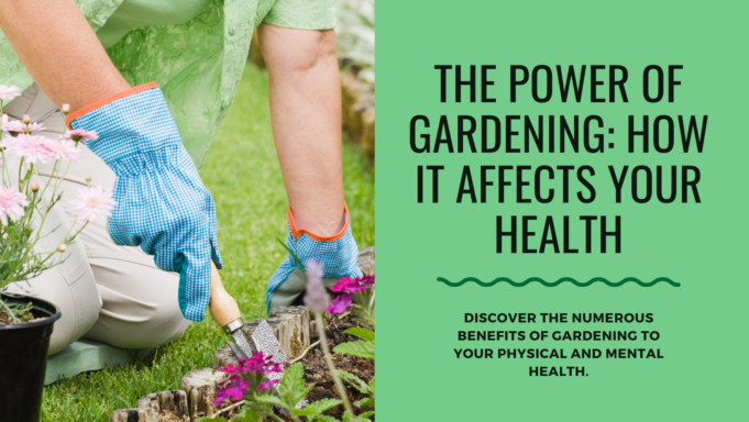 The Impart Of Gardening On Health The Impact of Gardening on Health