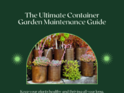 The Ultimate Container Garden Maintenance Guide