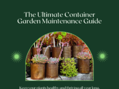 The Ultimate Container Garden Maintenance Guide