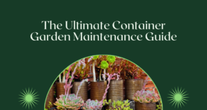 The Ultimate Container Garden Maintenance Guide