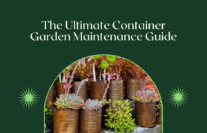 The Ultimate Container Garden Maintenance Guide