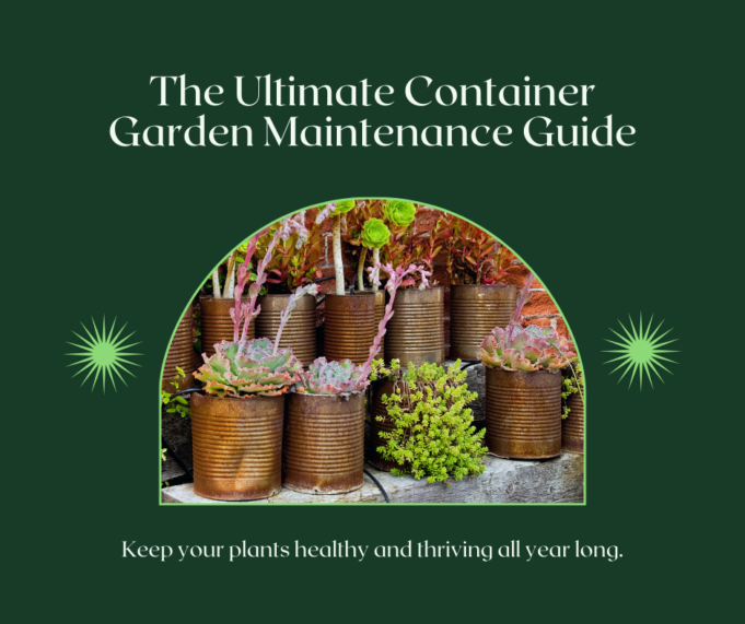 The Ultimate Container Gardening Maintenance Guide The Ultimate Container Garden Maintenance Guide