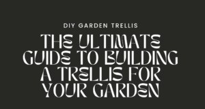 The Ultimate Guide to Building a DIY Trellis for Your Garden