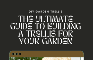 The Ultimate Guide to Building a DIY Trellis for Your Garden