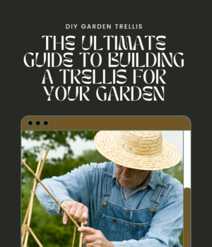 The Ultimate Guide to Building a DIY Trellis for Your Garden