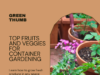 Top Fruits and Veggies to Grow In Containers