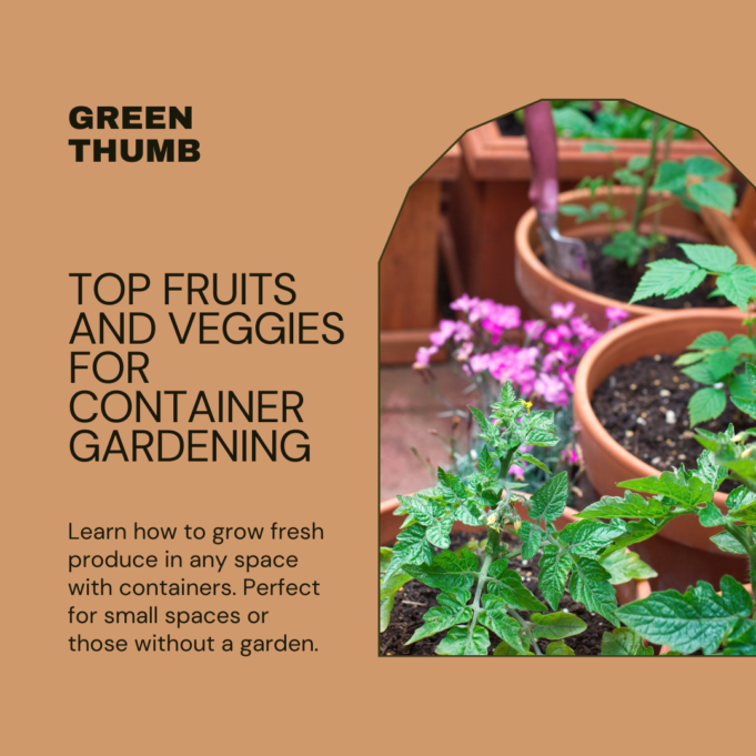 Top Fruits And Veggies To Grow In Containers Top Fruits and Veggies to Grow In Containers