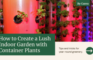 Year-Round Container Plants