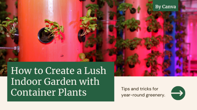 Year-Round Container Plants Year-Round Container Plants