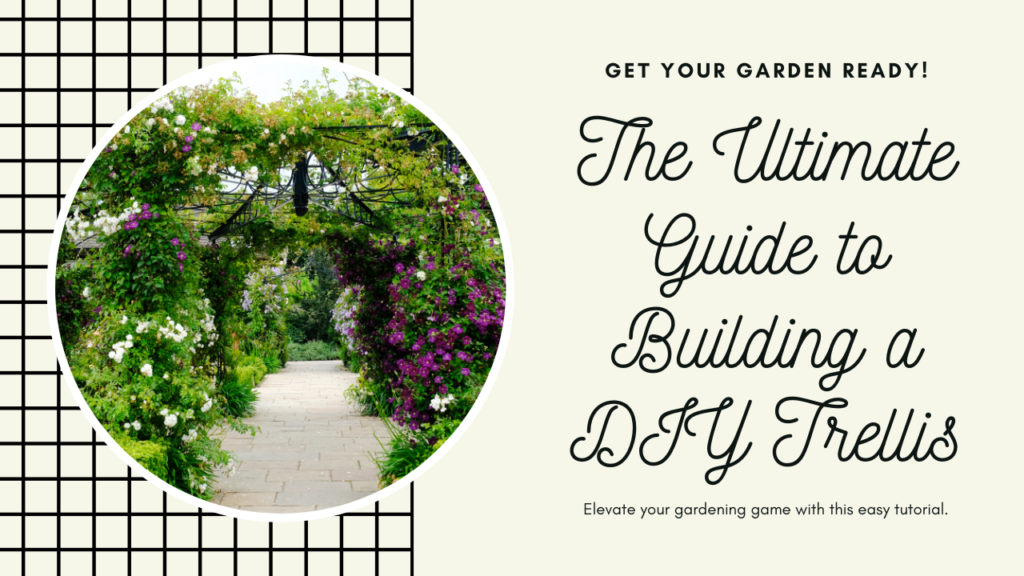 The Ultimate Guide to Building a DIY Trellis for Your Garden
