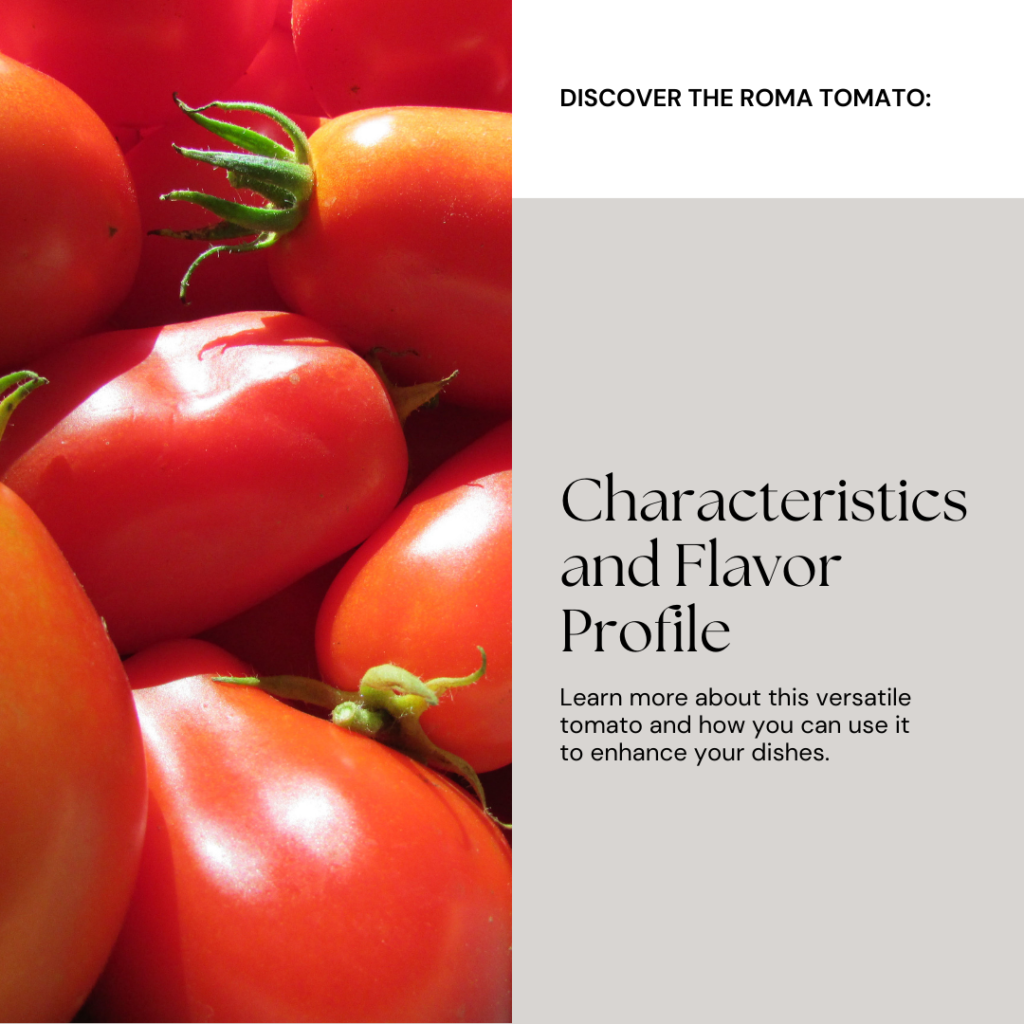 Learn The Best Tomato Varieties to Cultivate
