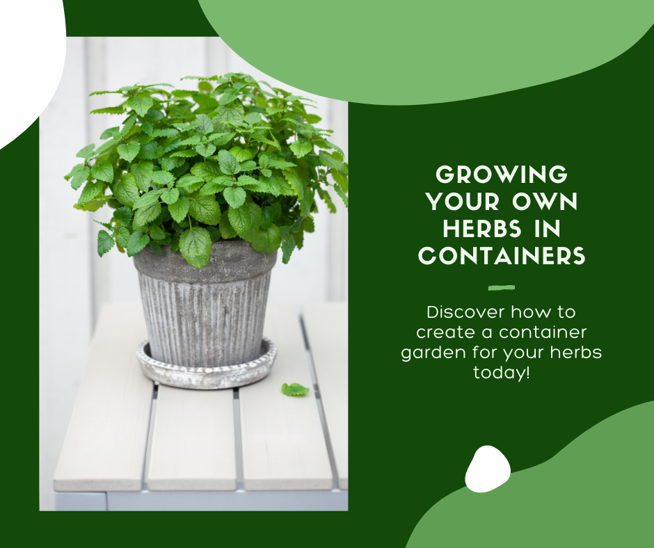 Container Garden Ideas for Every Gardener
