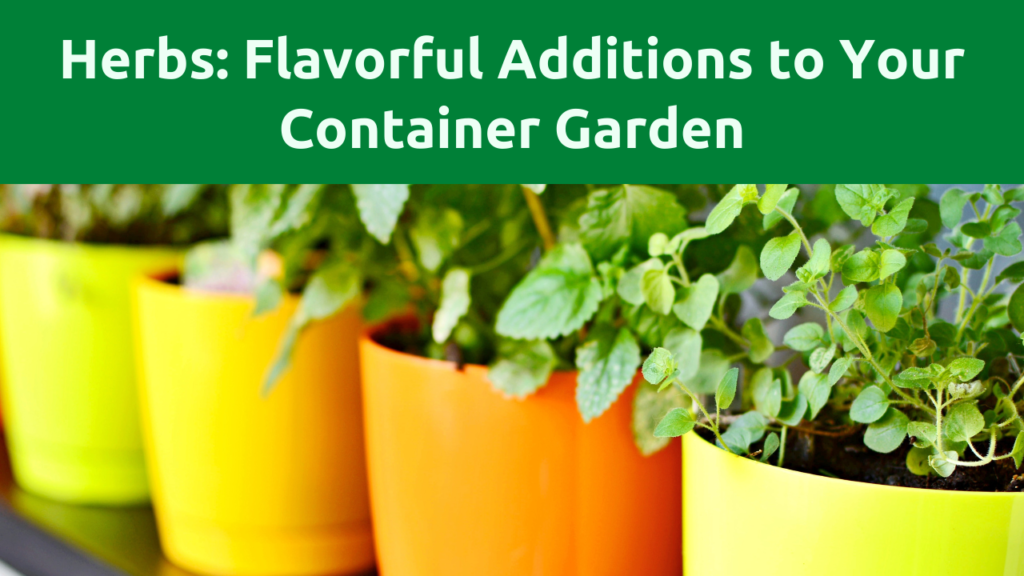Top Fruits and Veggies to Grow In Containers
