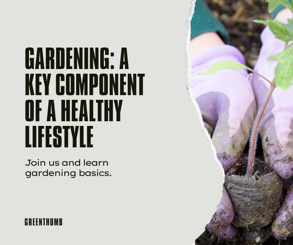 The Impact of Gardening on Health
