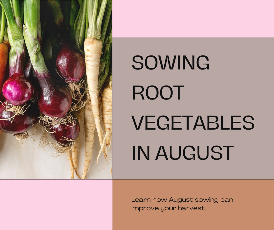 ​Uncover The Best Vegetables to Sow in August
