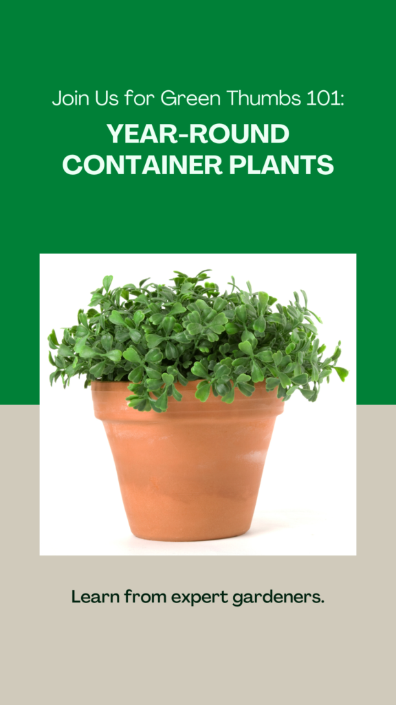 Year-Round Container Plants
