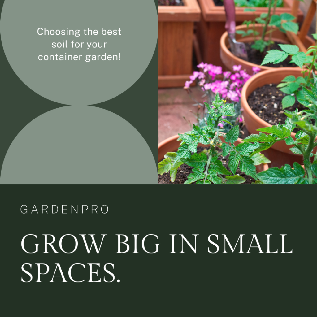 BEST SOIL FOR CONTAINER GARDENING
