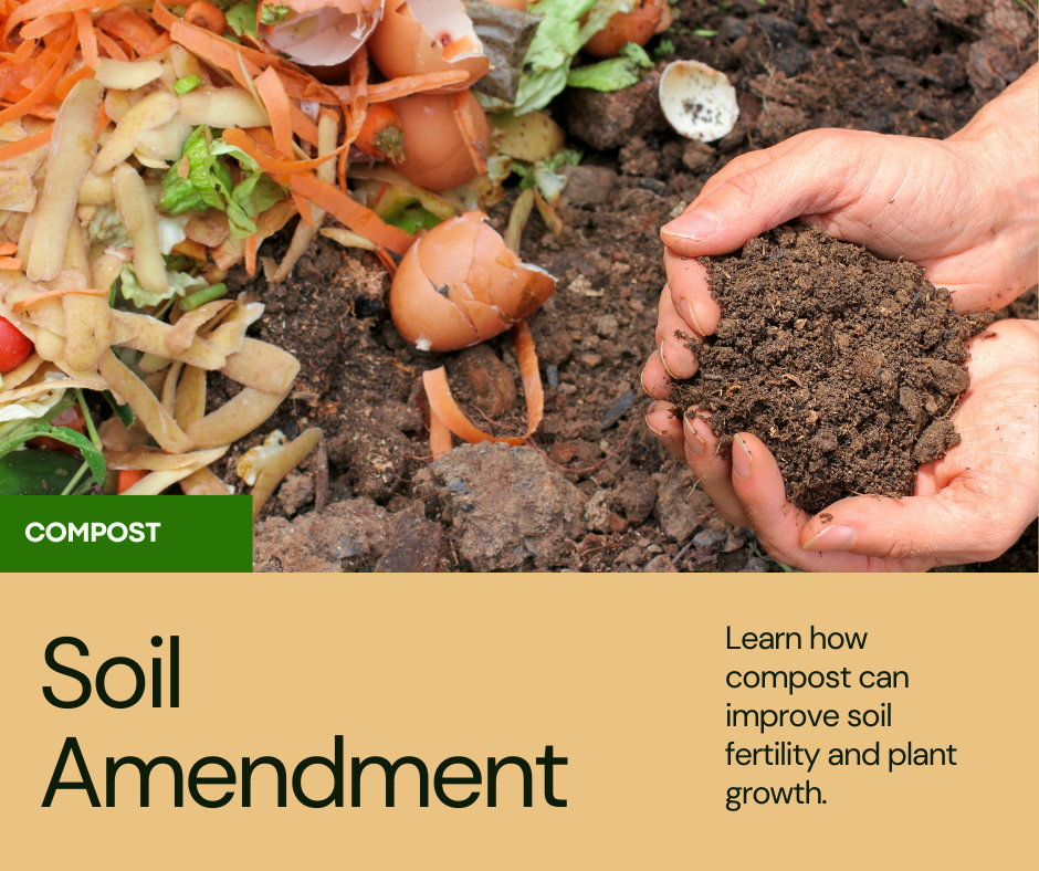 Uncover the Benefits of Composting for Improve Plant yield
