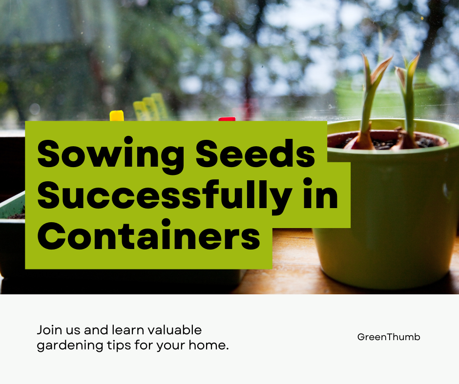 How to Sow Seeds in Containers Successfully
