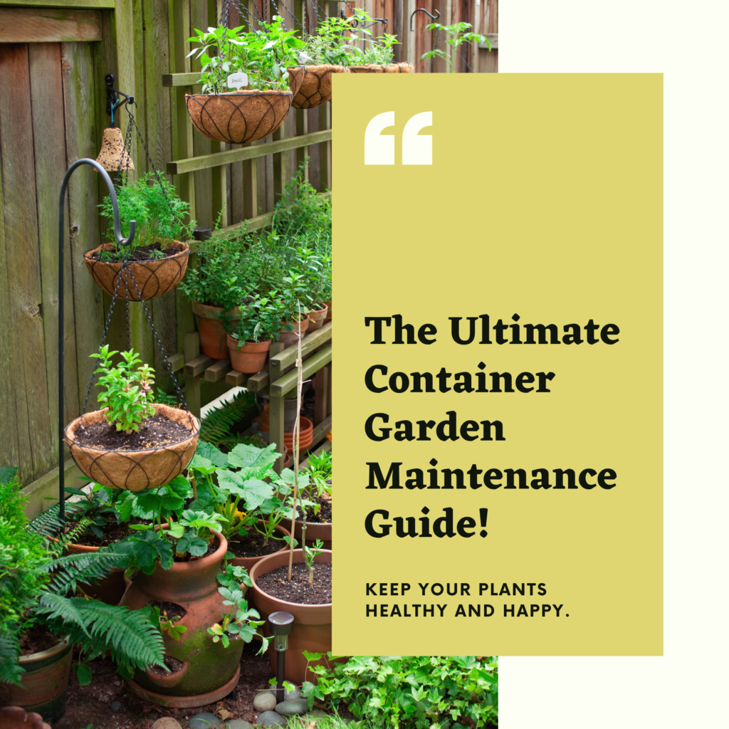 The Ultimate Container Garden Maintenance Guide
