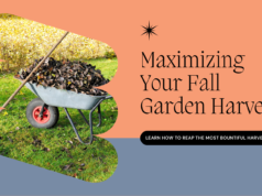 Tips for Maximizing Your Fall Garden Harvest