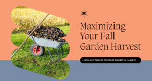 Tips for Maximizing Your Fall Garden Harvest