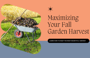 Tips for Maximizing Your Fall Garden Harvest