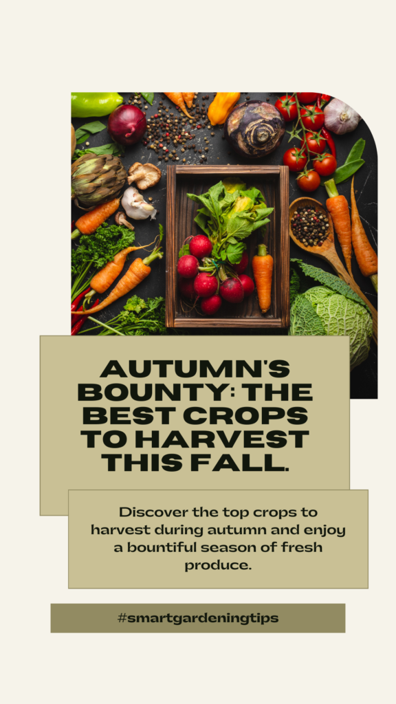 Best Crops to Harvest in Autumn