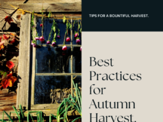 Best practices for autumn harvest