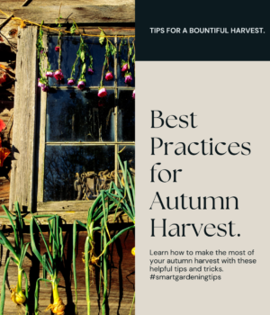 Best practices for autumn harvest