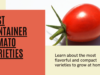 Best container tomato varieties