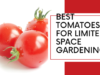 Best tomatoes for limited space gardening