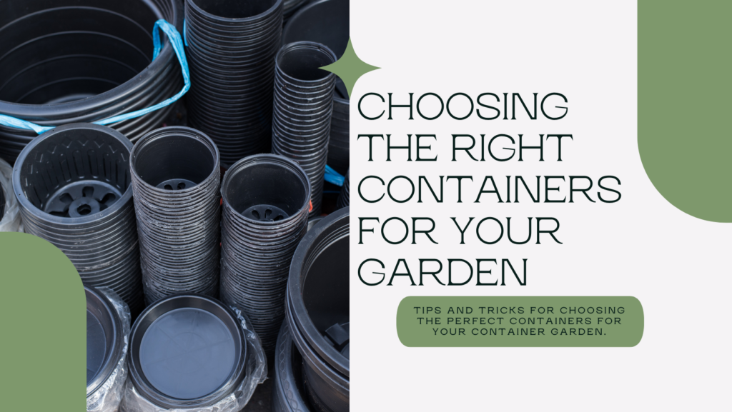 Choosing the Right Containers for Your Garden
